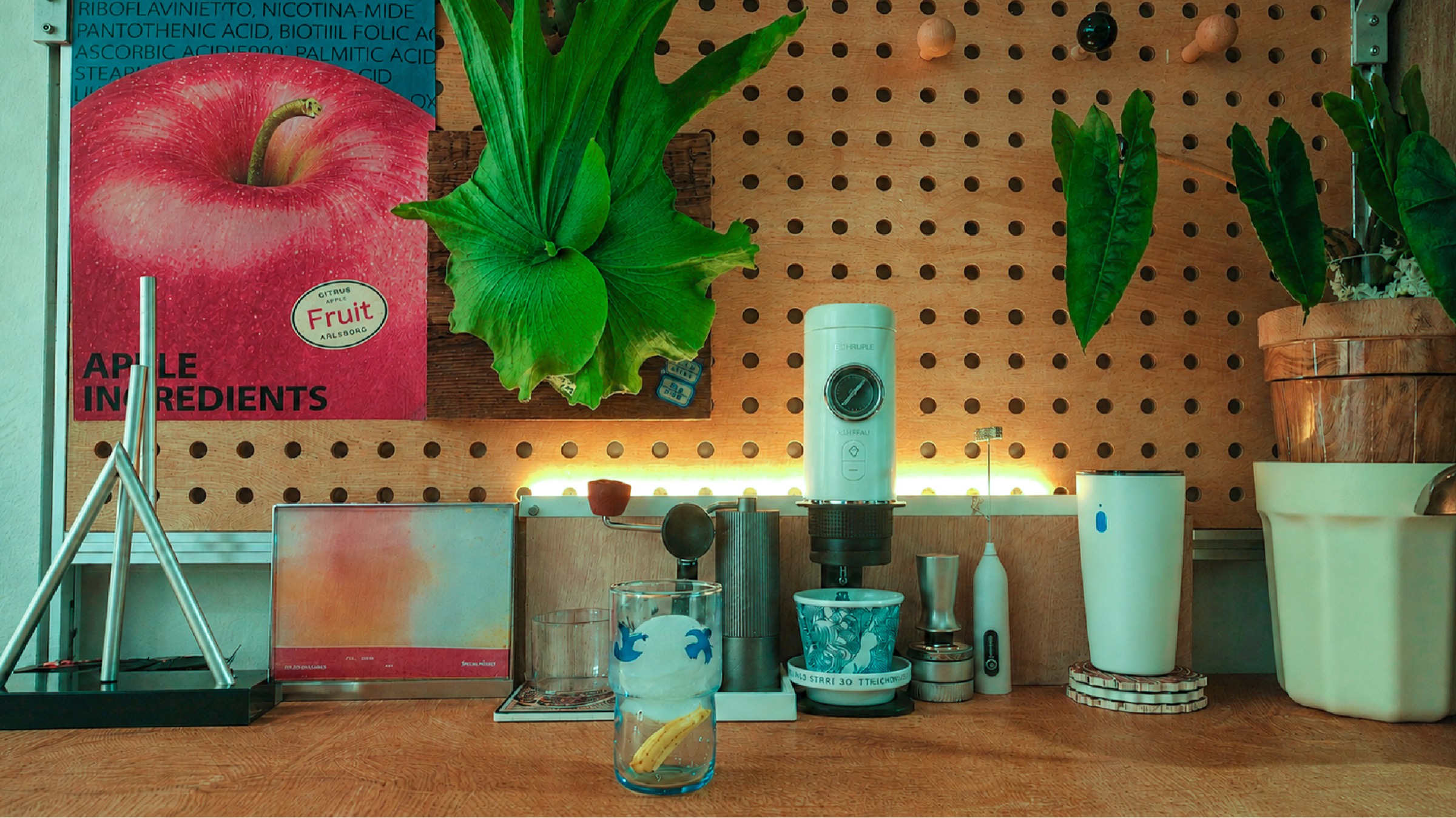 植物与器具陈列的生活角落